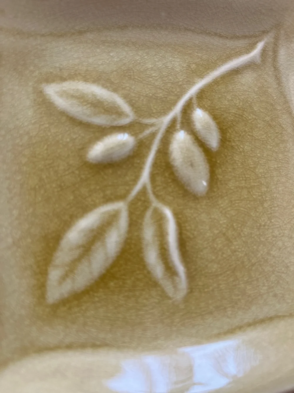 Tag Ceramic Square Dishes with Olive Branch Motif in Soft Yellow
